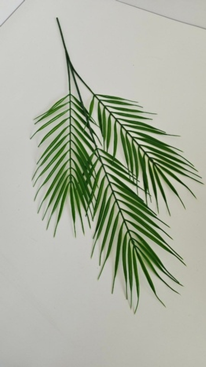 Лист пальмы Арека / Арт 9058