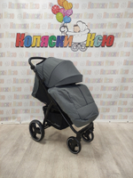 Коляска прогулочная Rant Basic Alpine Graphite 2025