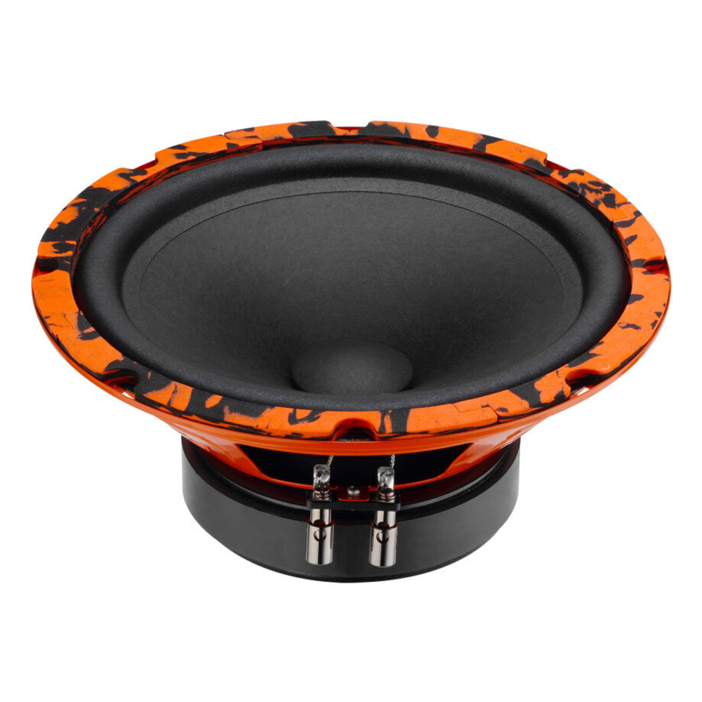 DL Audio Gryphon Pro 200 Midbass Эстрадная акустика 20 см. (8")