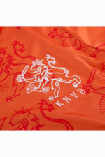 Футболка Retro COPA Holland World Cup 1994