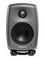 Genelec 8010AP