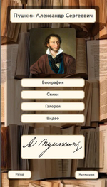 Программное обеспечение BM KIOSK INFO