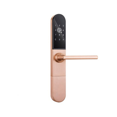 CASPER FP электронный биометрический замок TTLOCK