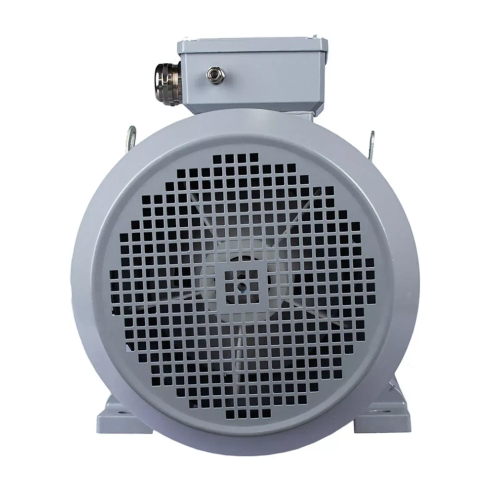 Электродвигатель ESQ PR 160 L2-SDN-Б1-S12-IE3 18,5/3000 IMB35