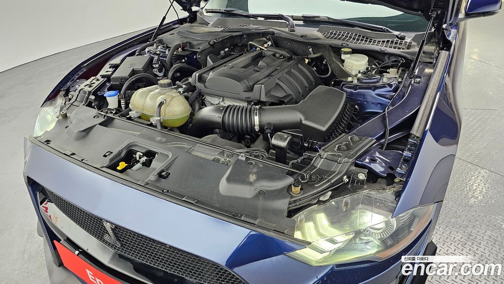 Ford Mustang Coupe (08.2020)