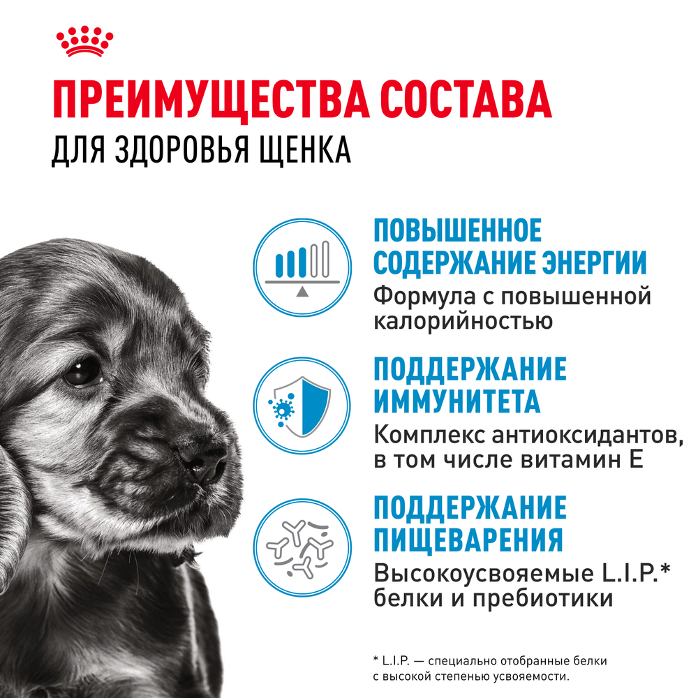 Royal Canin Mini Puppy Корм консервированный для щенков мелких пород в возрасте до 10 месяцев, кусочки в соусе - 85 гр