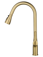 Смеситель для кухни с выдвижным изливом WONZON & WOGHAND, Брашированное золото (WW-AE54123-BG)