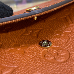 Louis Vuitton Félicie Pochette