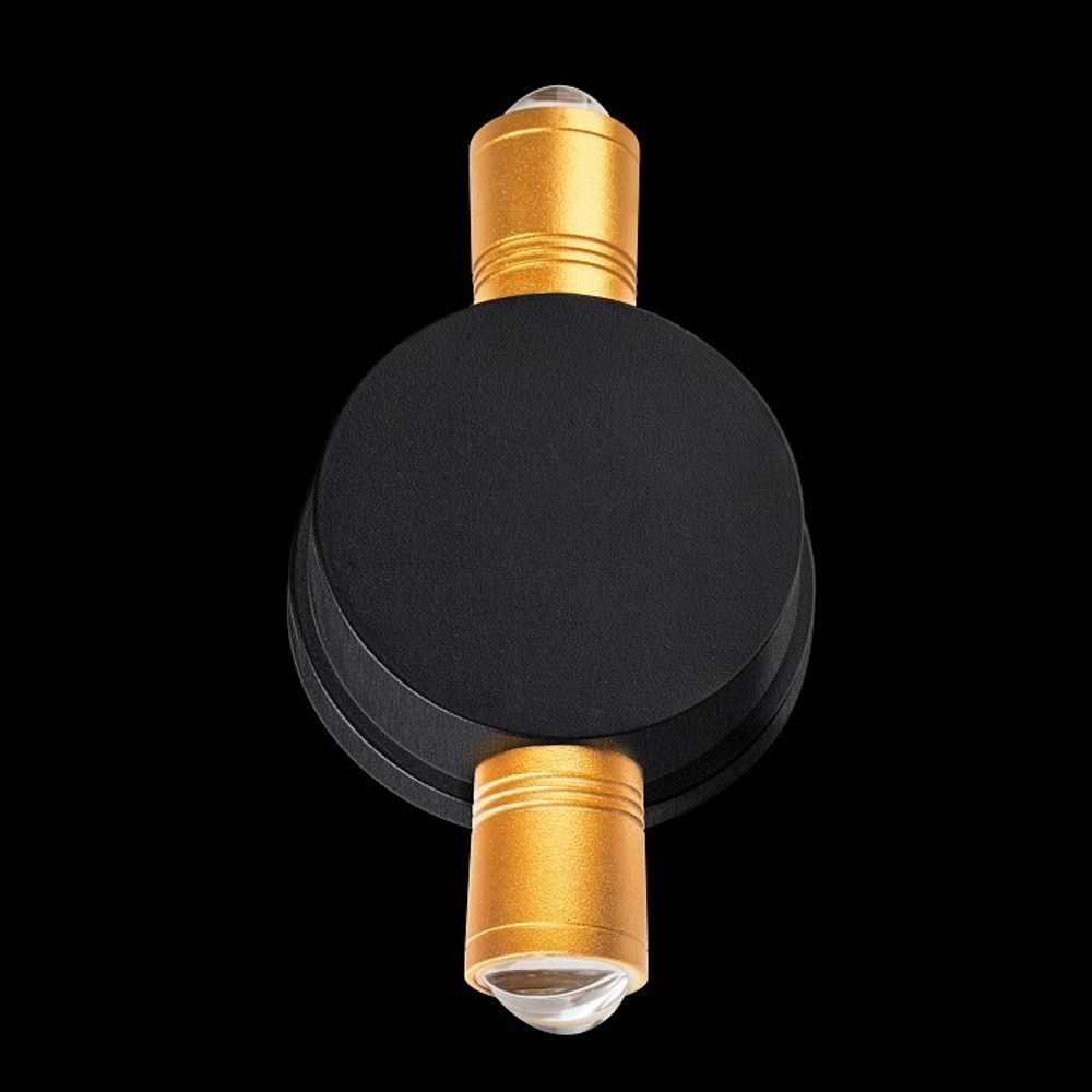 Накладной светильник Lightstar Dito 380623