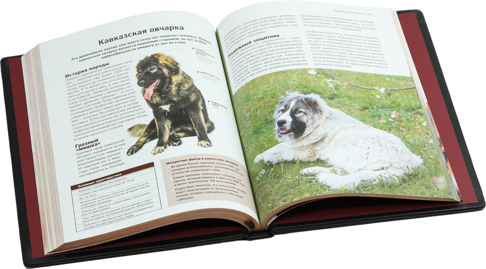 Все породы собак