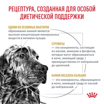 Royal Canin Urinary S/O LP 18 при мочекаменной болезни у собак