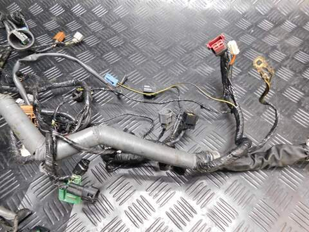 Коса электропроводки Kawasaki ZZR1400 ZXT40C 051930