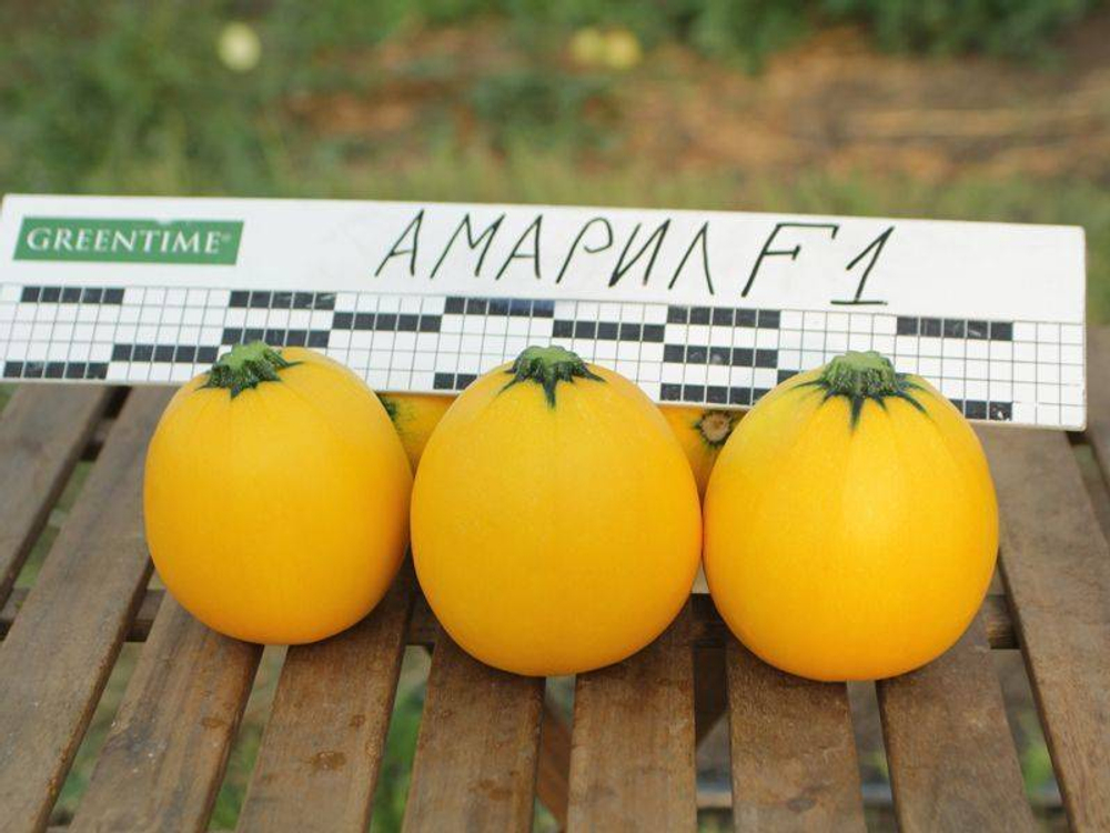 Кабачок Амарил F1 5шт Мировые Семена VITA GREEN