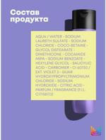 СОУ СИЛЬВЕР Шампунь 300 мл ( E1652605 )