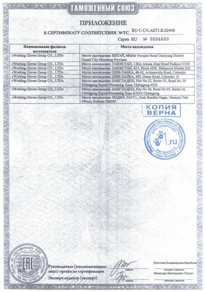 Перчатки для пескоструйной камеры 800 мм Vector арт. 15605V