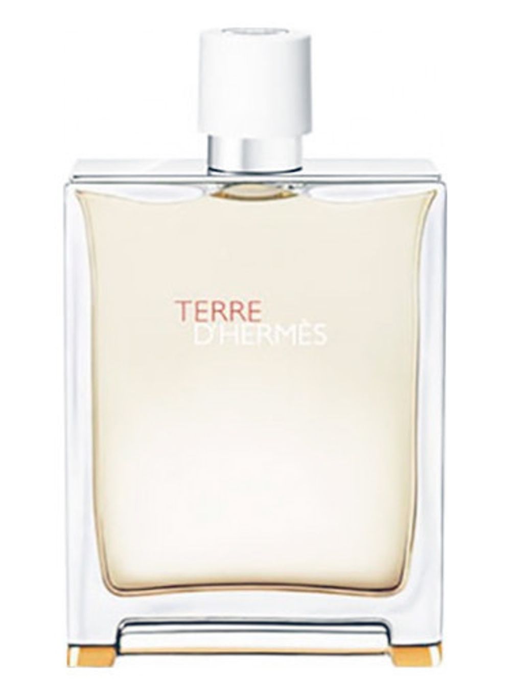 Hermes Terre d' Eau Tres Fraiche
