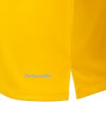 Футболка вратарская JOGEL NATIONAL PerFormDRY GK Jersey, желтый
