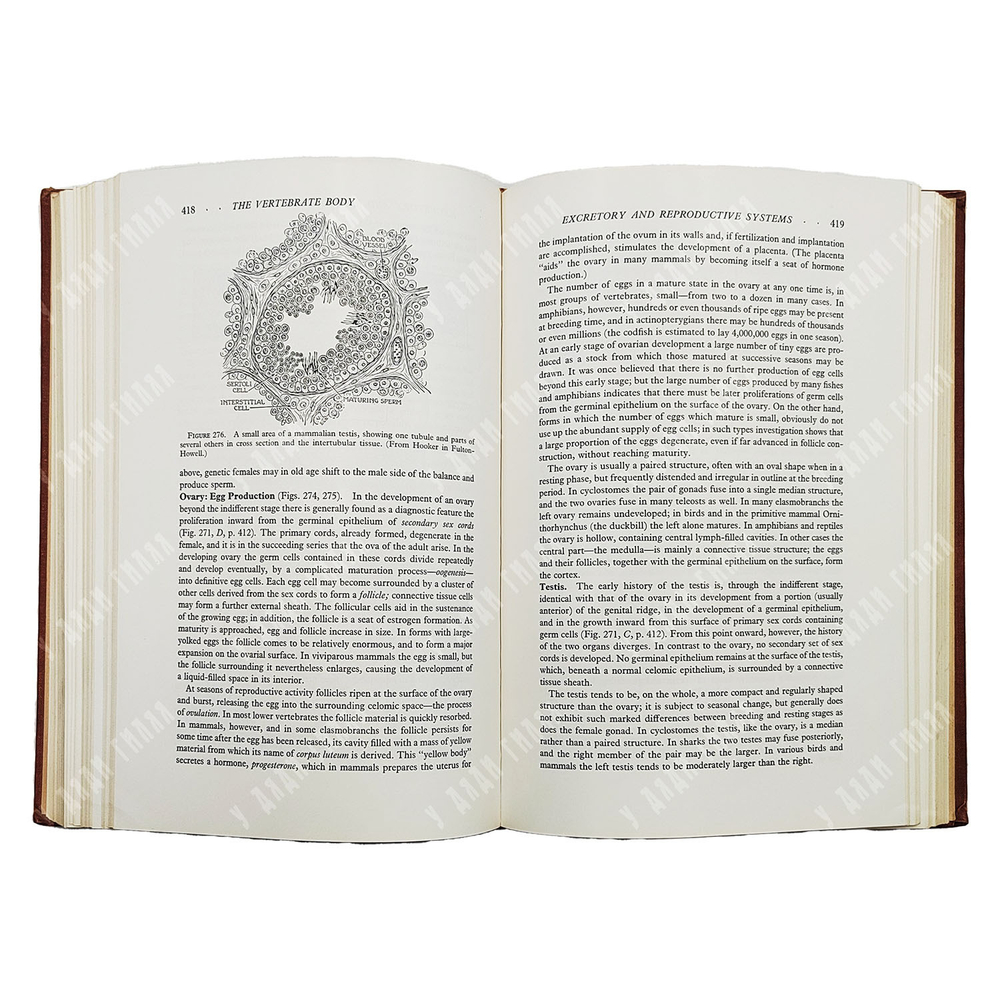 Romer A.S. The vertebrate body / Ромер А.Ш. Тело позвоночных животных. 1960.