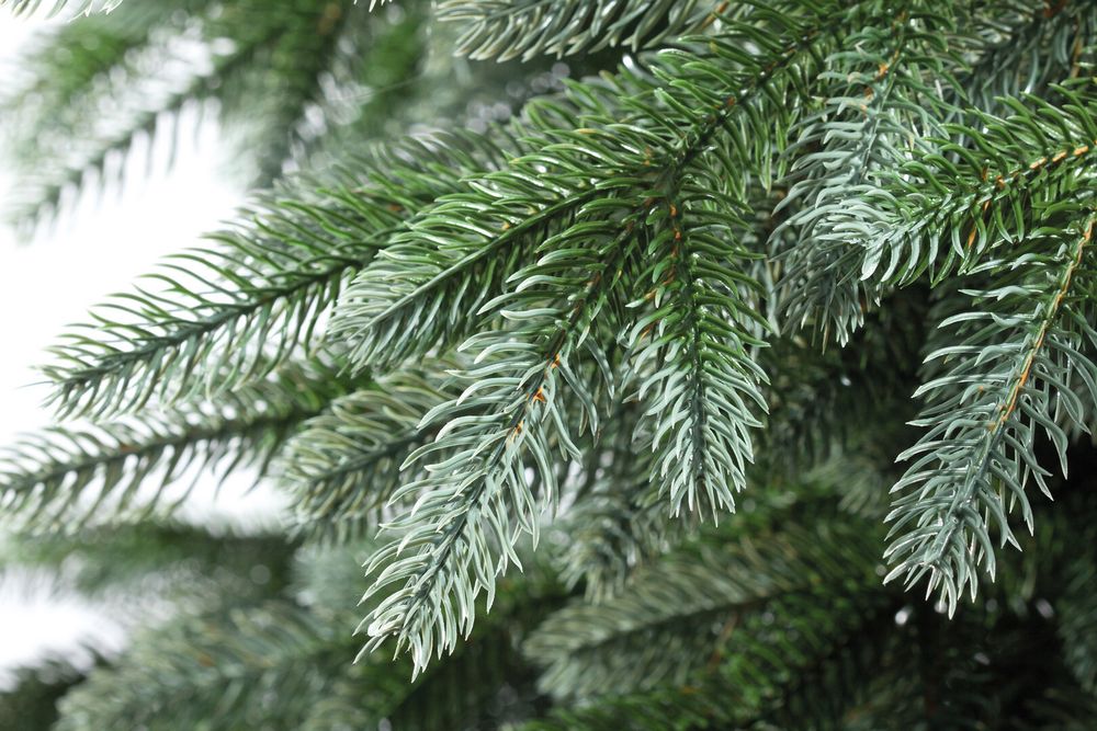 Ель искусственная «Мальва» (Литая хвоя) 230 см / 2,3 м