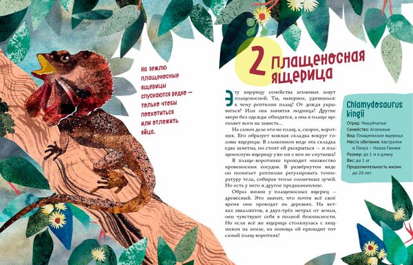 Ящерицы. Великолепная десятка