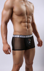 Сетчатые трусы-боксеры Cockcon Trunks с принтом на гульфике (Размер: L) (Цвет: голубой)