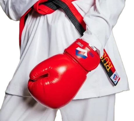 Перчатки боксерские ProfSport красные