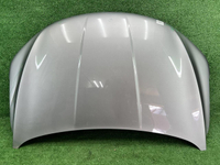Капот Geely Coolray (2019-2024)