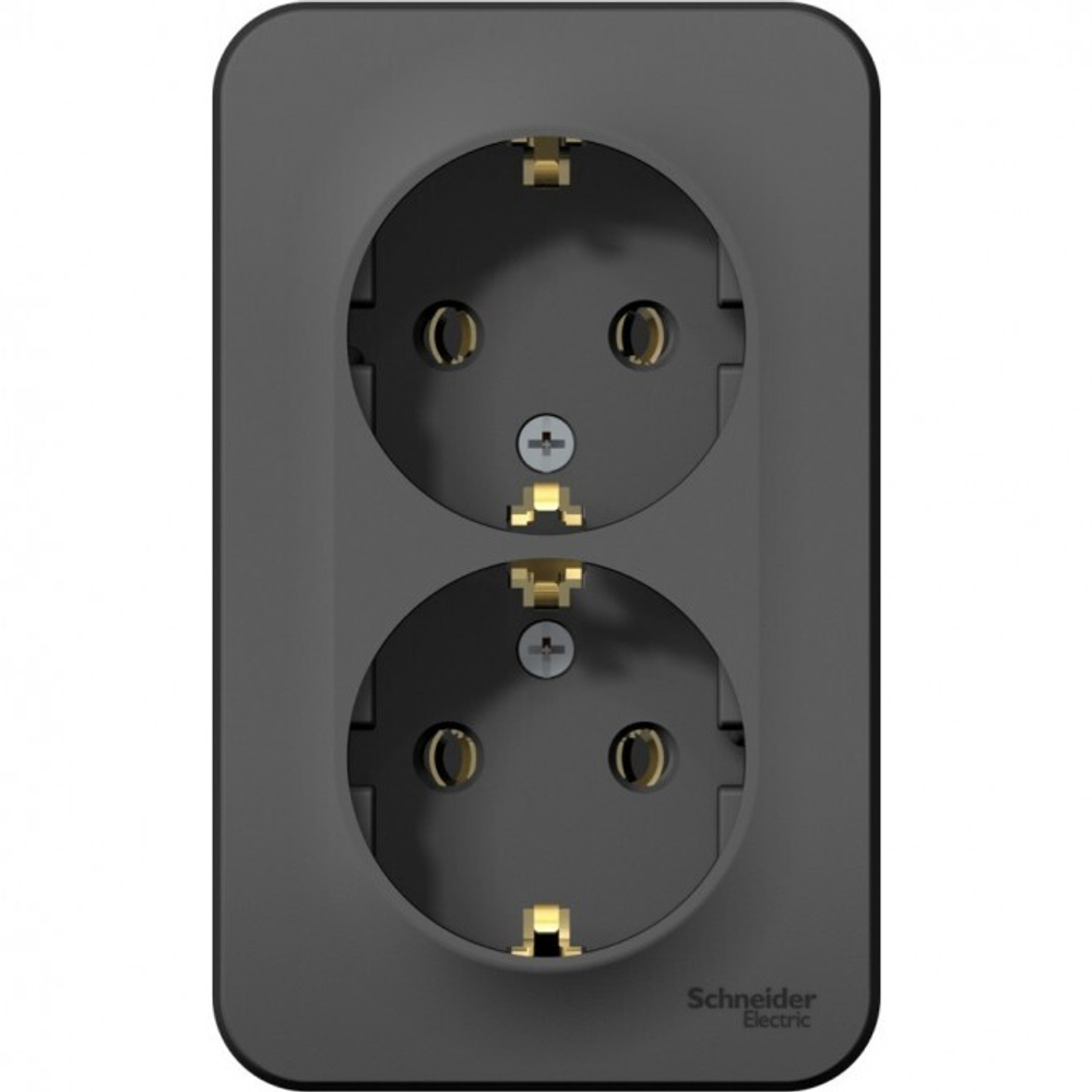 BLNRA 010216 Systeme electric Розетка 2гн с З/К о/у антрацит 16А IP20