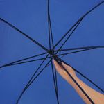 Зонтик- трость DISCO & DANCE