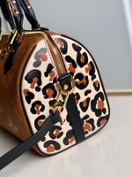 Louis Vuitton Speedy 25