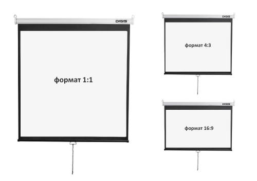 Экран настенный Digis DSOD-16906MW 265x149 см (16:9)