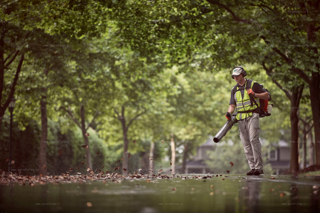 Для чего нужна воздуходувка на участке: 7 задач, которые она решает за минуты