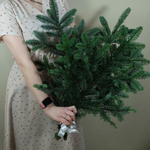 Еловая ветка нобилис Датская ель 3 шт.