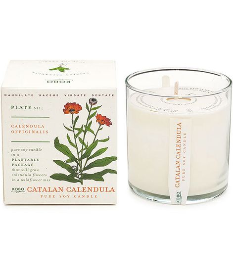 Catalan Calendula, свеча The Seeds, Kobo Candles