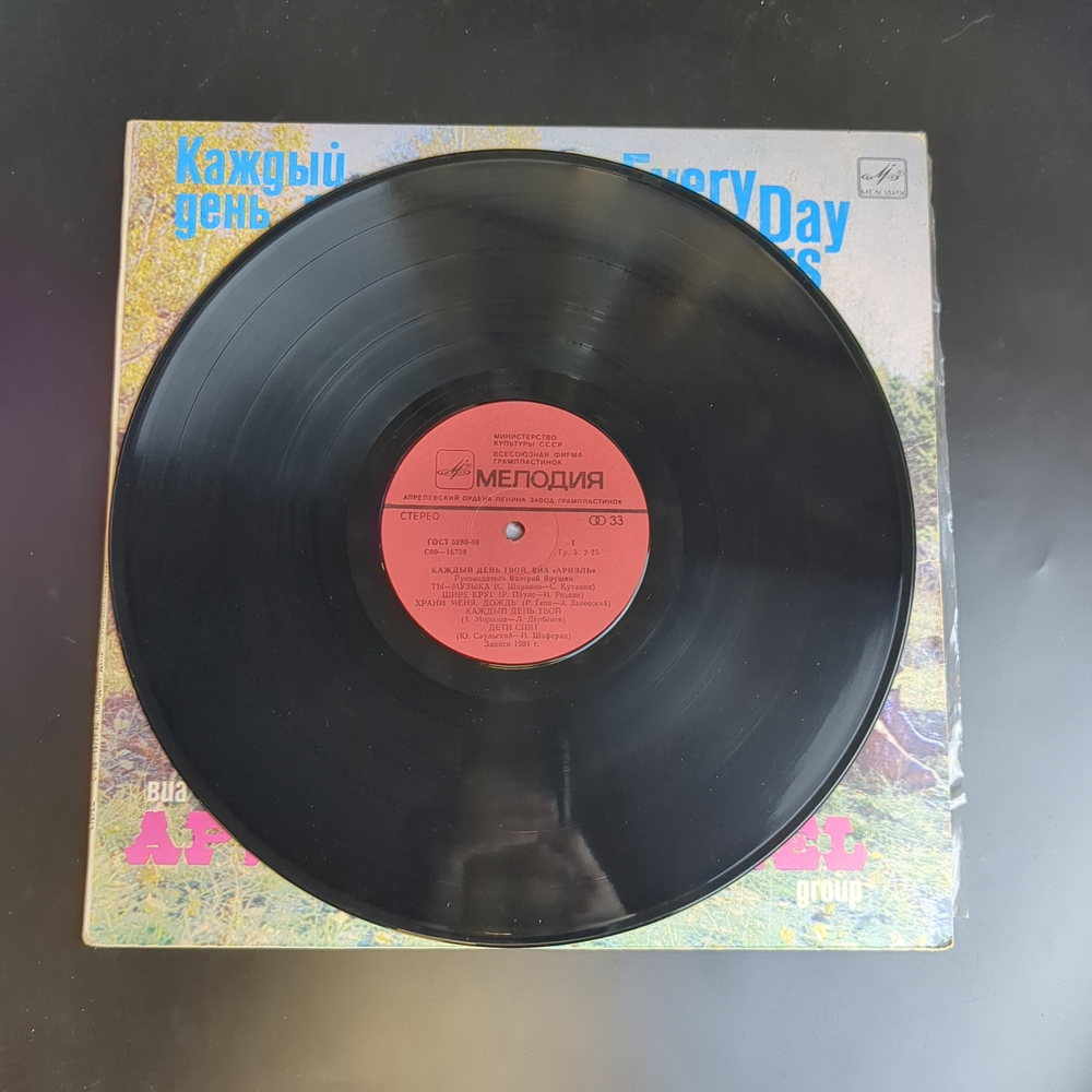 LP ВИА Ариэль - Каждый день твой, виниловая пластинка 12 дюймов Мелодия 1982 год
