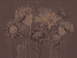 Коллекция SUMMERTIME