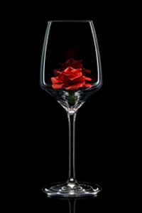 Бокал для белого вина. Роза красная.