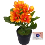 Цветочная композиция «Поцелуй лета» Космея оранжевая 20см
