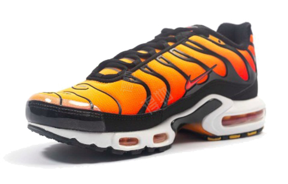 Кроссовки Nike Air Max Plus Og