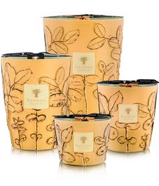 Garrigue, свеча MAX 24 Folia collection, Baobab Collection