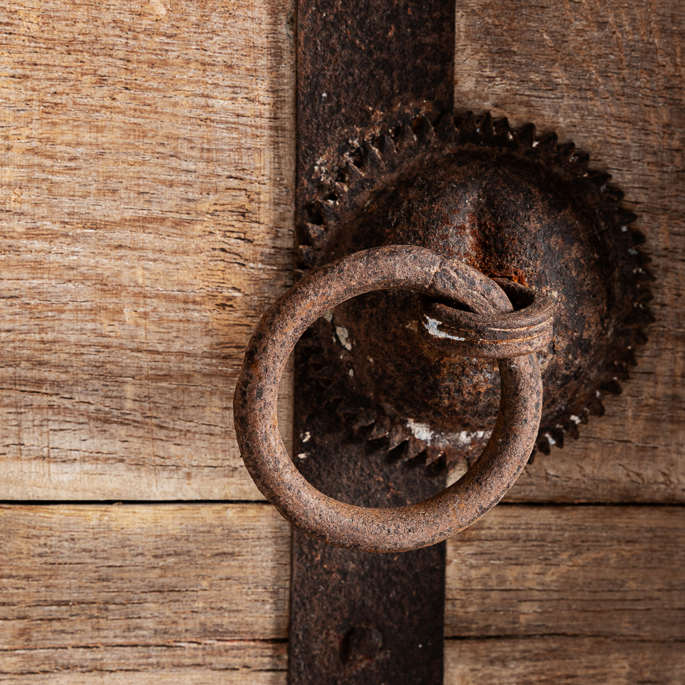 Тумба под ТВ PHALODI