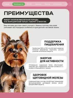 Корм сухой для взрослых собак породы Йоркширский терьер, с ягненком, 800 гр, QUATTRO