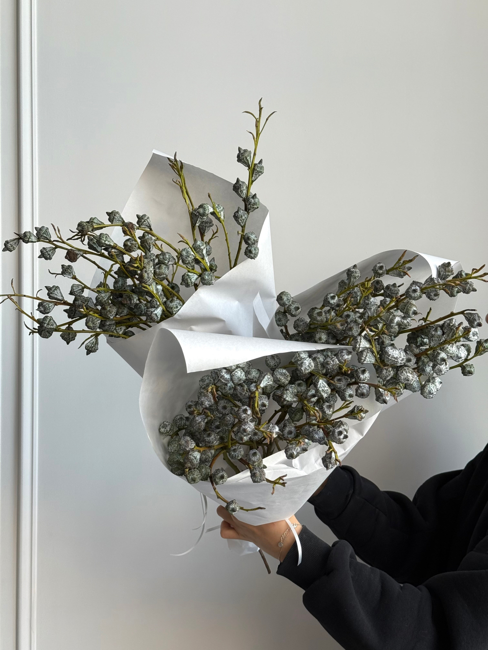 Охапка эвкалипта глобулус 5 шт