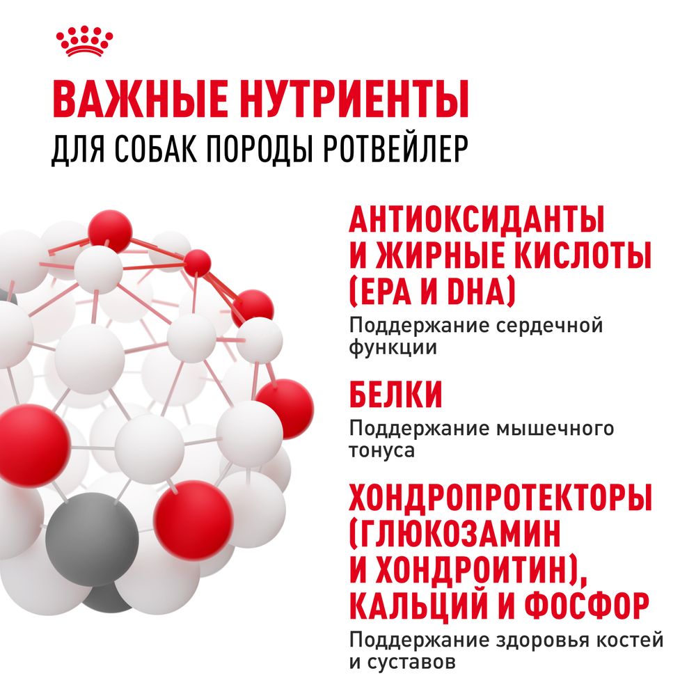 Сухой корм Royal Canin Rottweiler Adult для взрослых собак породы Ротвейлер от 18 месяцев