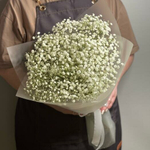 Букет из живых цветов белая гипсофила 5 шт, 50 см, в пленке, без зелени