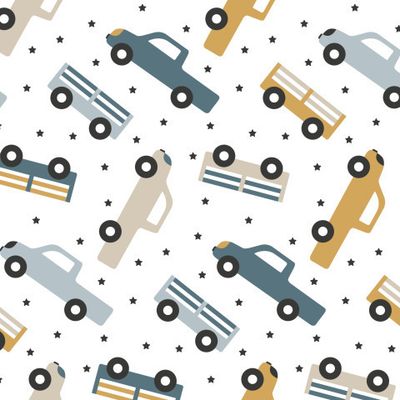 Buy fabric cars pickups