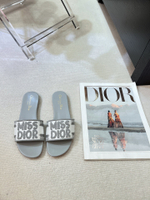 Christian Dior Dway Slide (11 colors)
