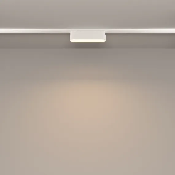 Трековый светильник Базис / Basis Radity 3000K 6Вт 120° Technical tr080-1-6w3k-w