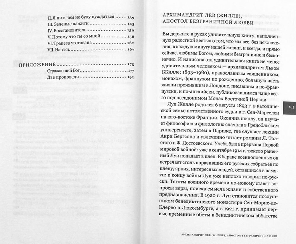 Безграничная любовь. Архимандрит Лев (Жилле)