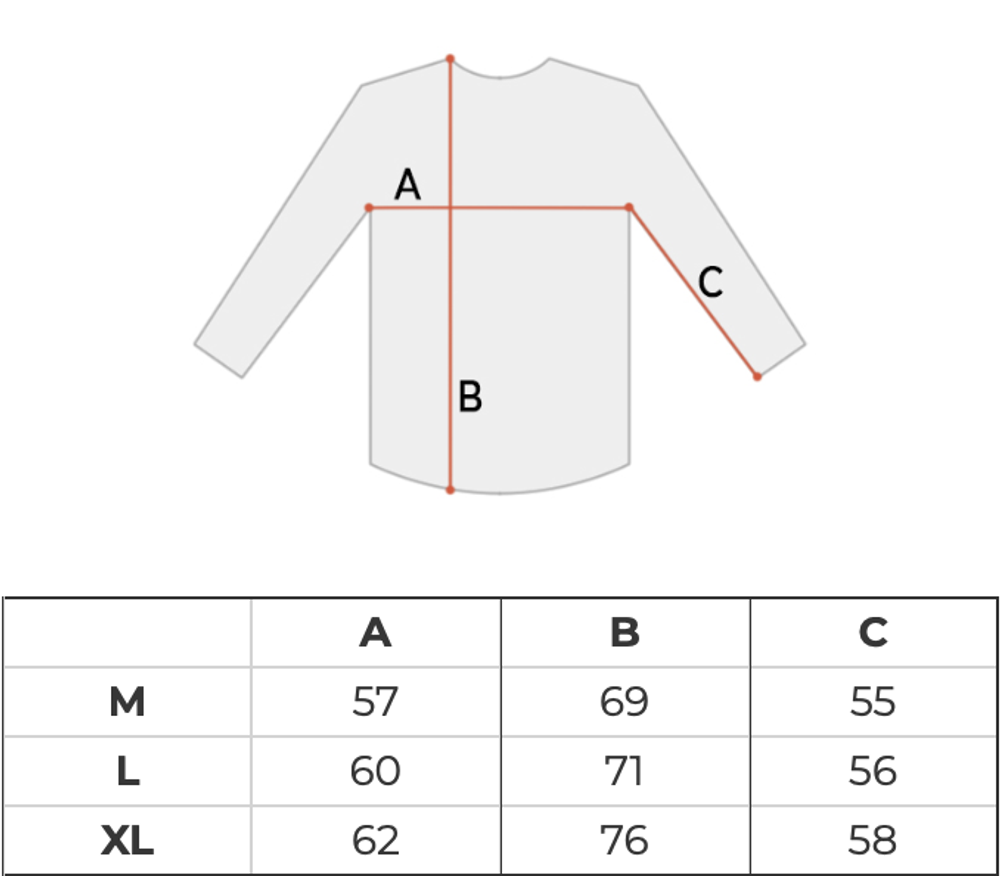 Толстовка мужская Carhartt WIP Chase Sweatshirt